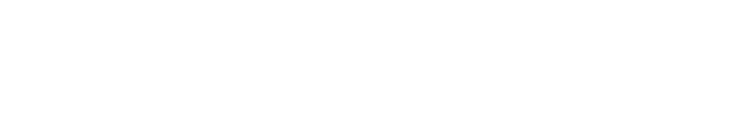Shopify Plus Partners
